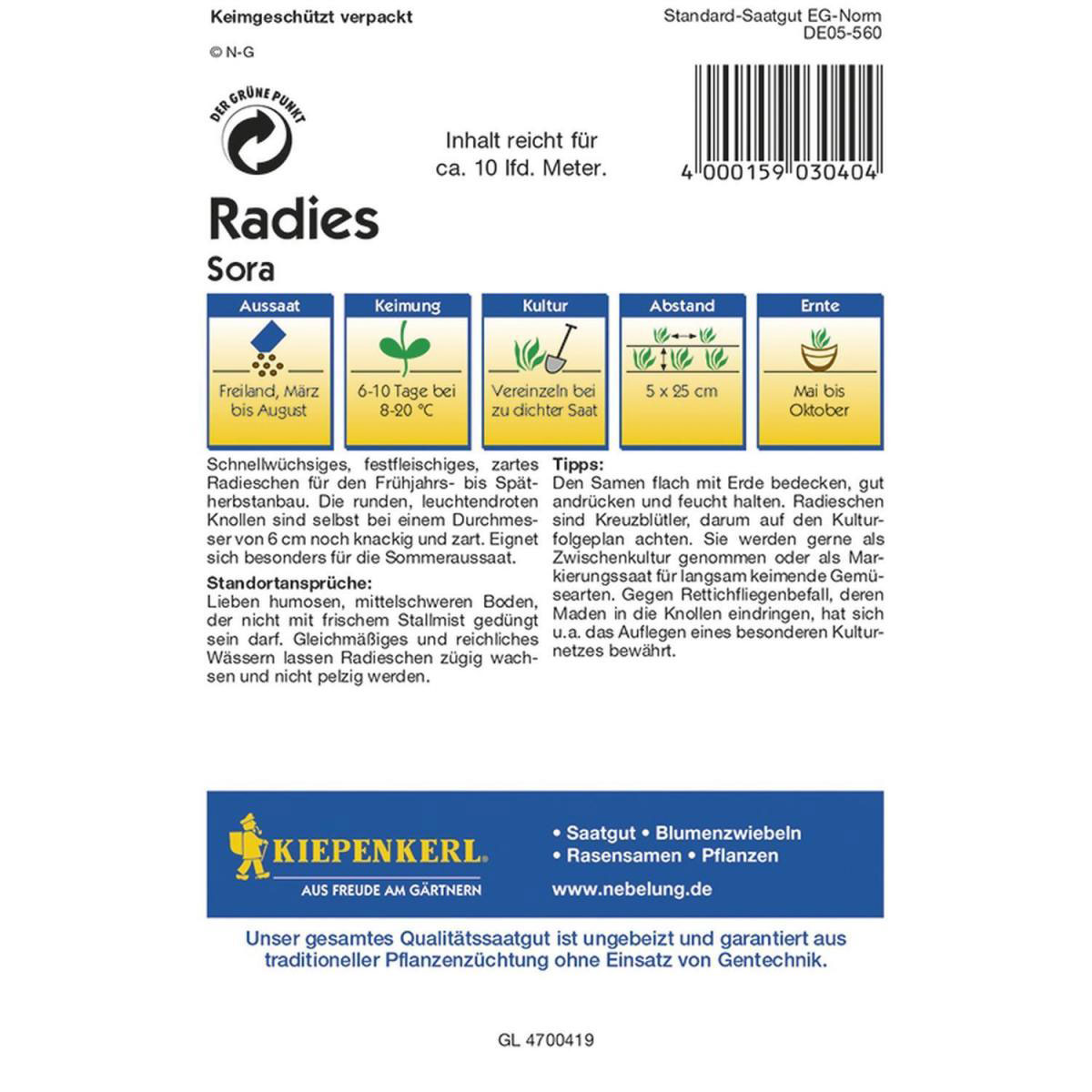 Kiepenkerl Radieschen Sora Profi-Line Bild 2