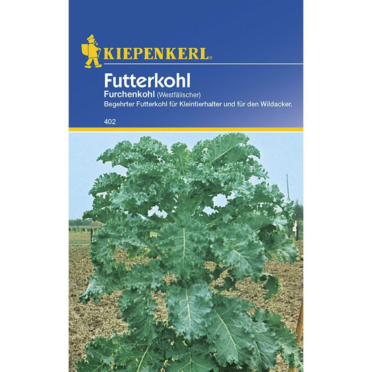 Kiepenkerl Futterkohl Westfälischer Furchenkohl Bild 1