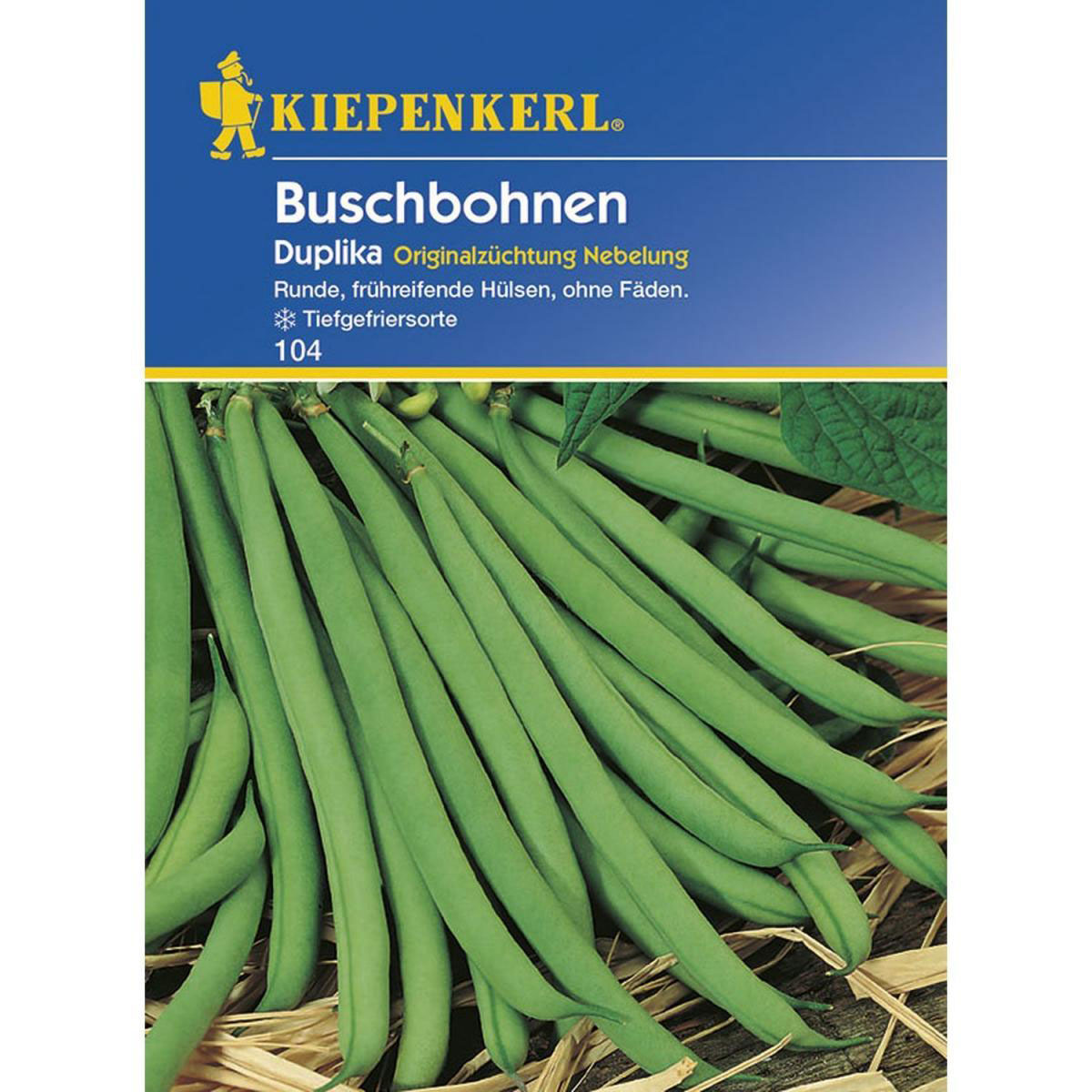 Kiepenkerl Buschbohnen Duplika Bild 1