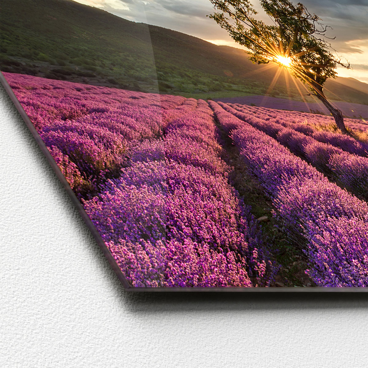 Glas-Art Silence 30 x 80 Glasbild Bild 2