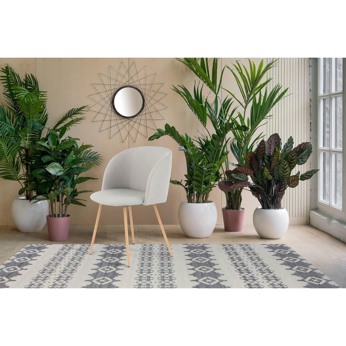 Stuhl „Celina 210“, 2er-Set, grau Bild 2