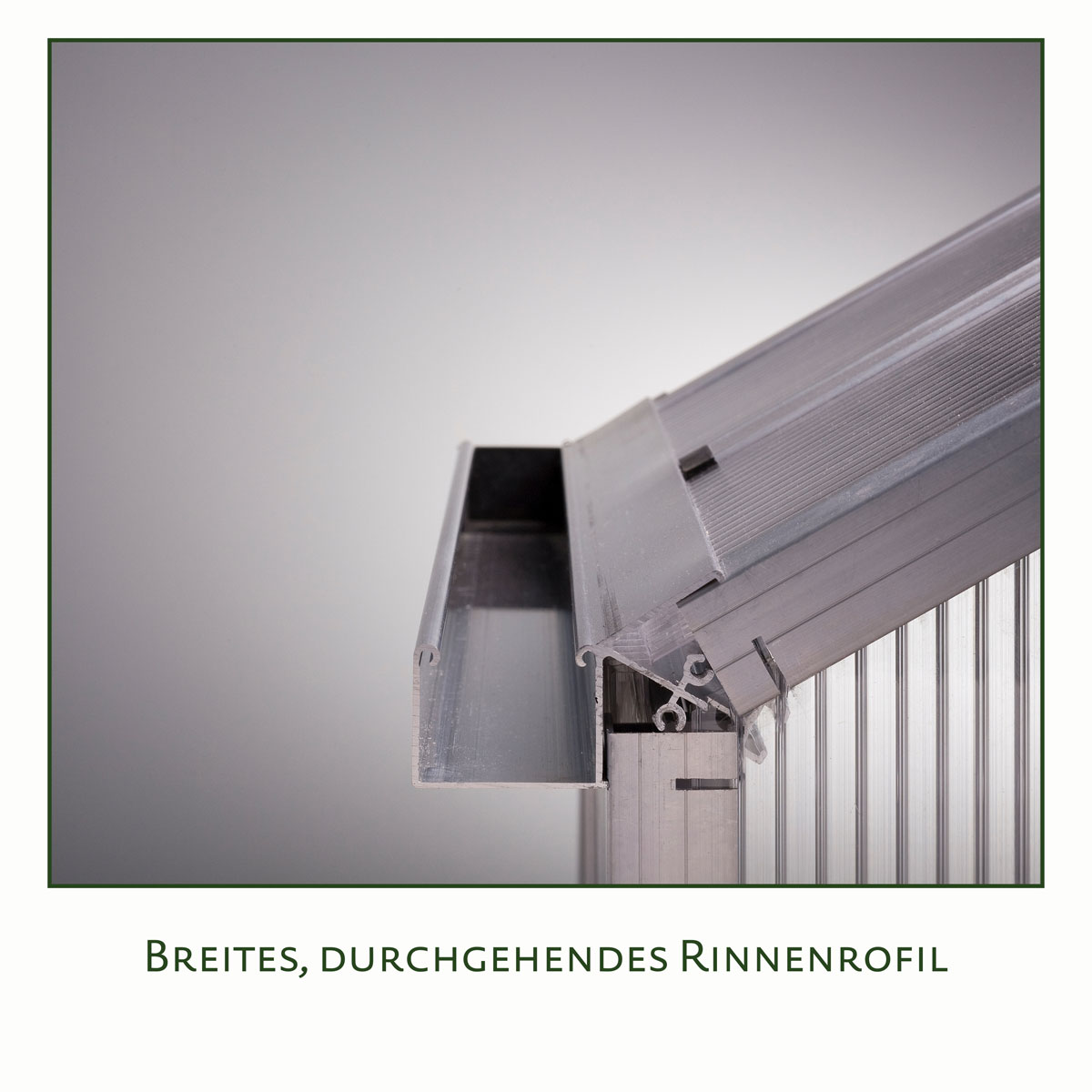 KGT Gewächshaus Rose II 5m² grün Bild 3