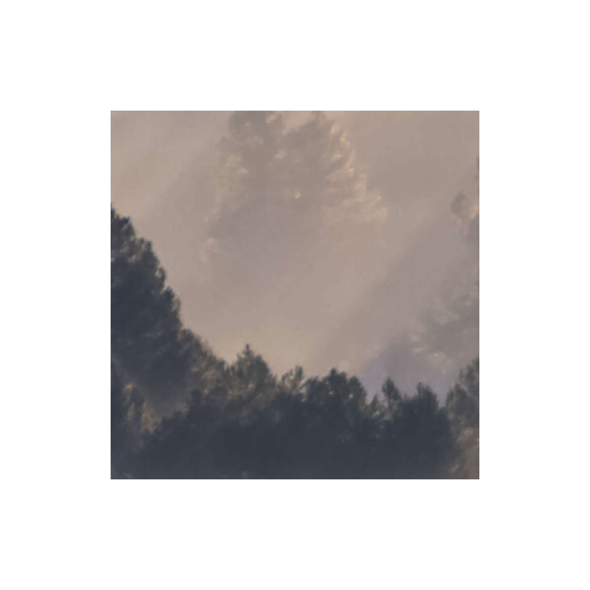 Komar  Vlies Fototapete Rays 300x250 cm Bild 5