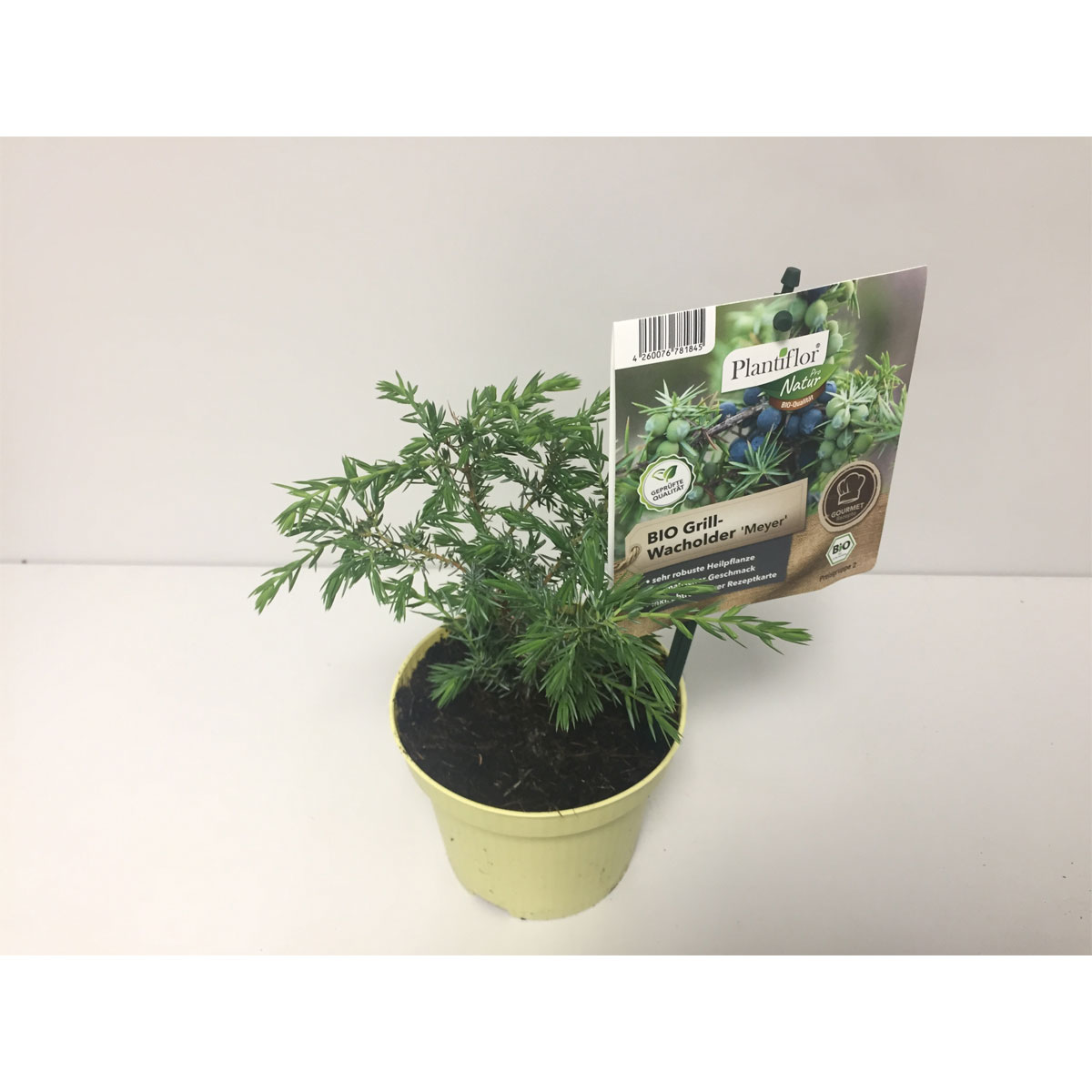 BIO Grillwacholder T12