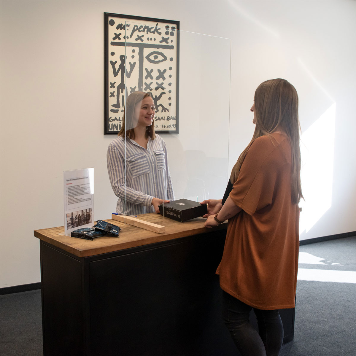 Schulte Hygieneschutz mit Durchreiche 75 x 100 cm Bild 8