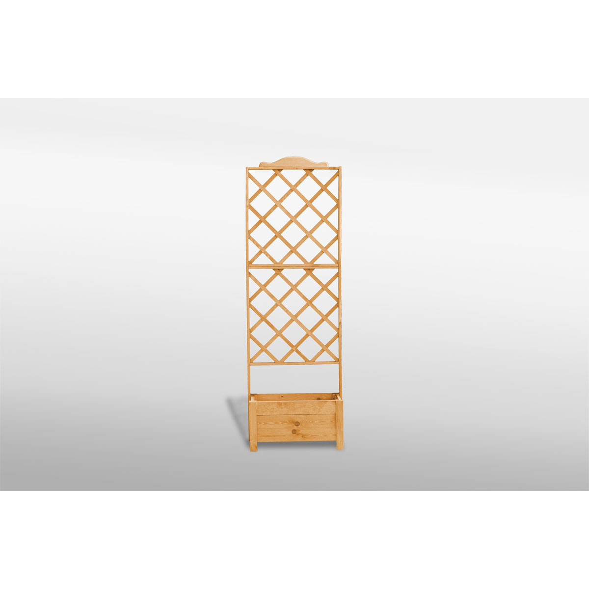 Promadino Rankkasten Botanica 69 x 210 cm Bild 1