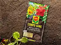 COMPO SANA Qualitäts-Blumenerde