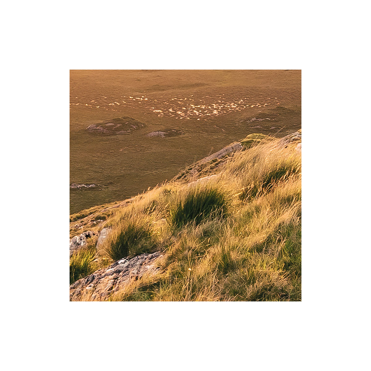 Komar  Vlies Fototapete Abenteuerland 400x280 cm Bild 6