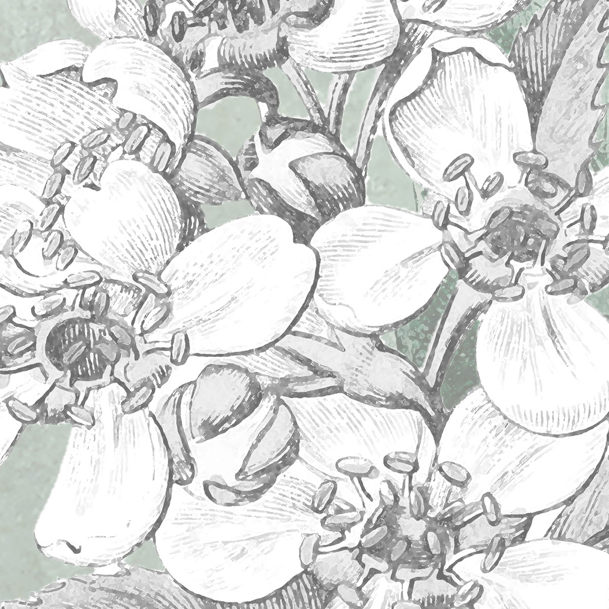 Komar  Vlies Fototapete Karma 200x250 cm Bild 6