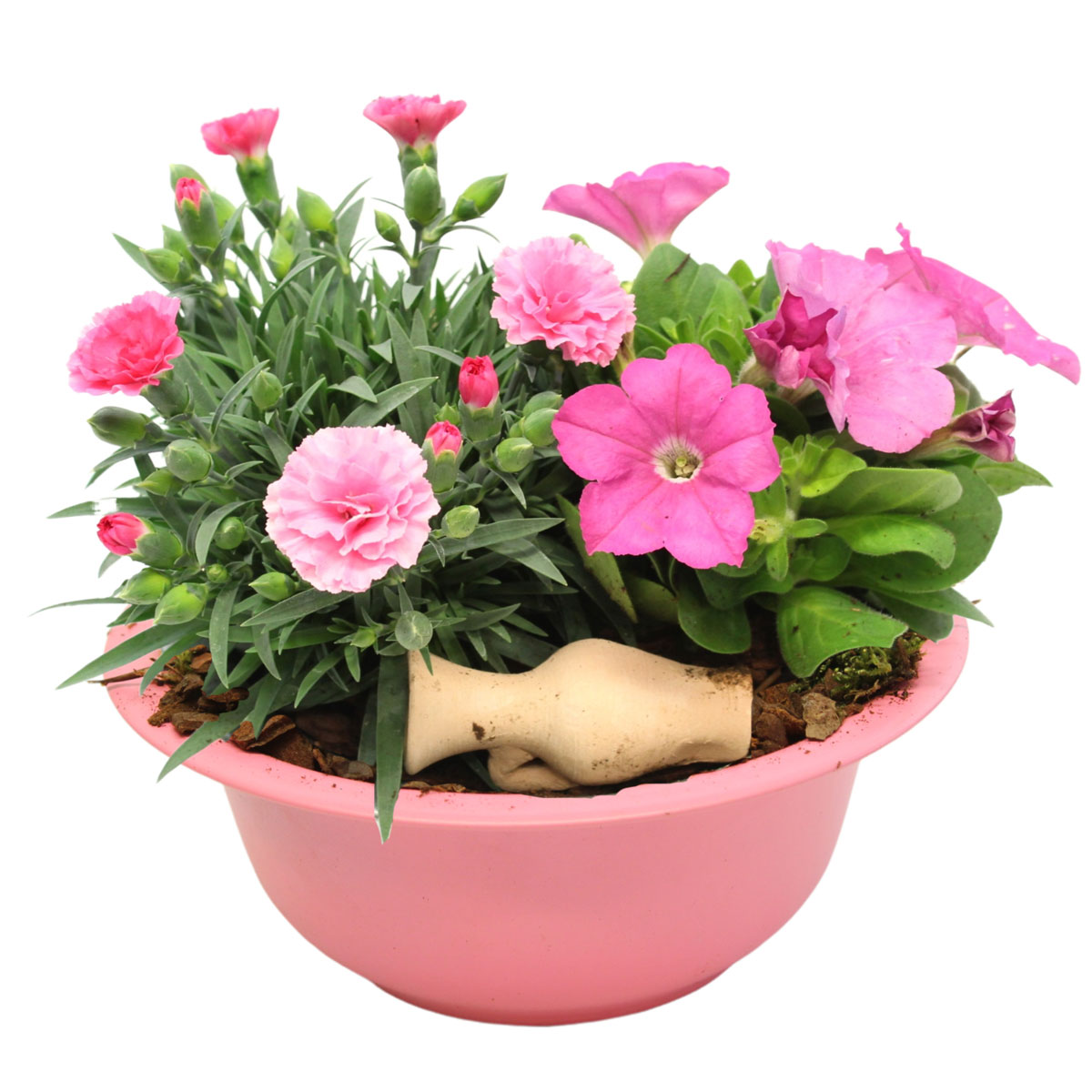 Plantiflor  Bepflanzte Zinkschale Durchmesser 29 cm