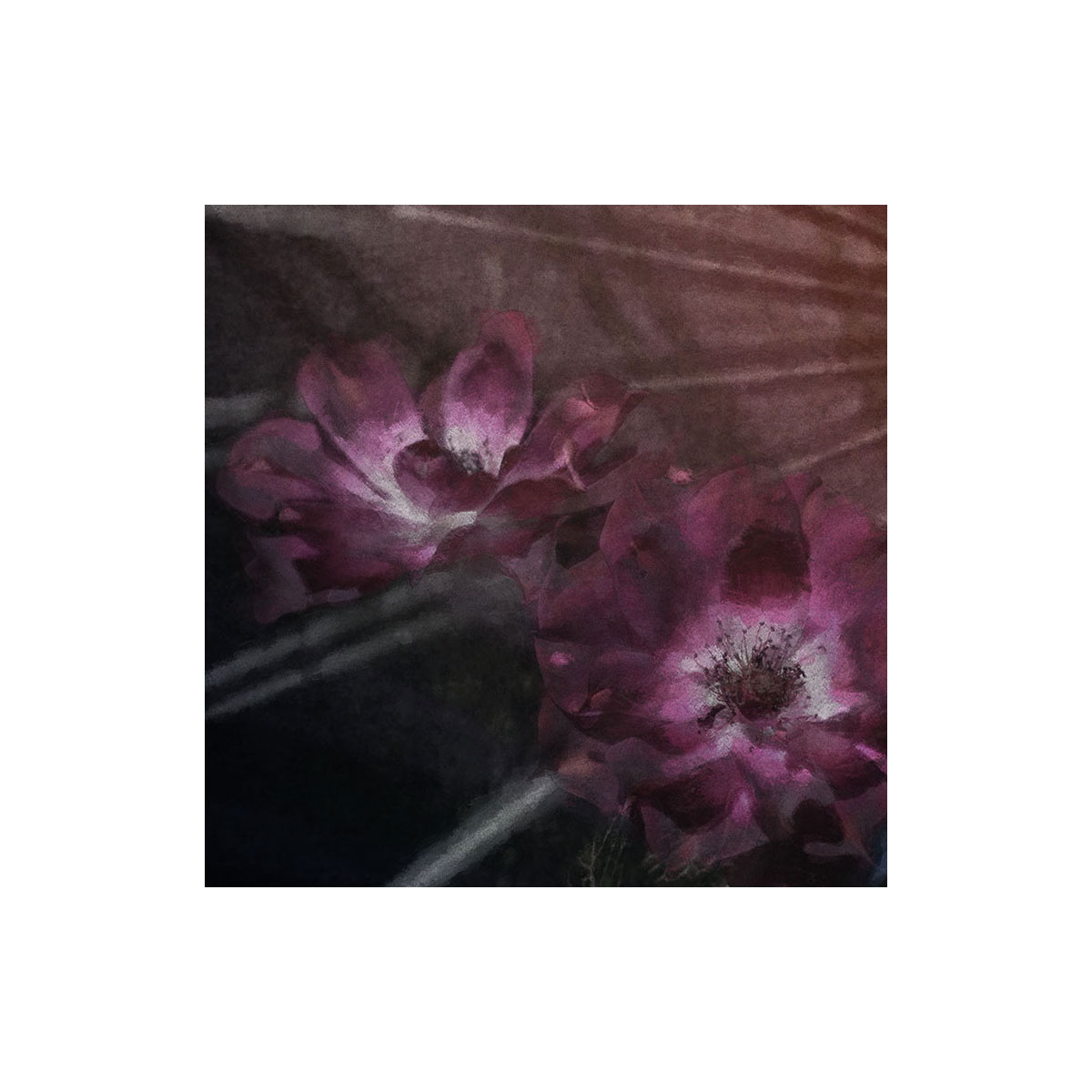 Komar  Selbstklebende Vlies Fototapete rund Flemish Flowers Durchmesser 125 cm Bild 3