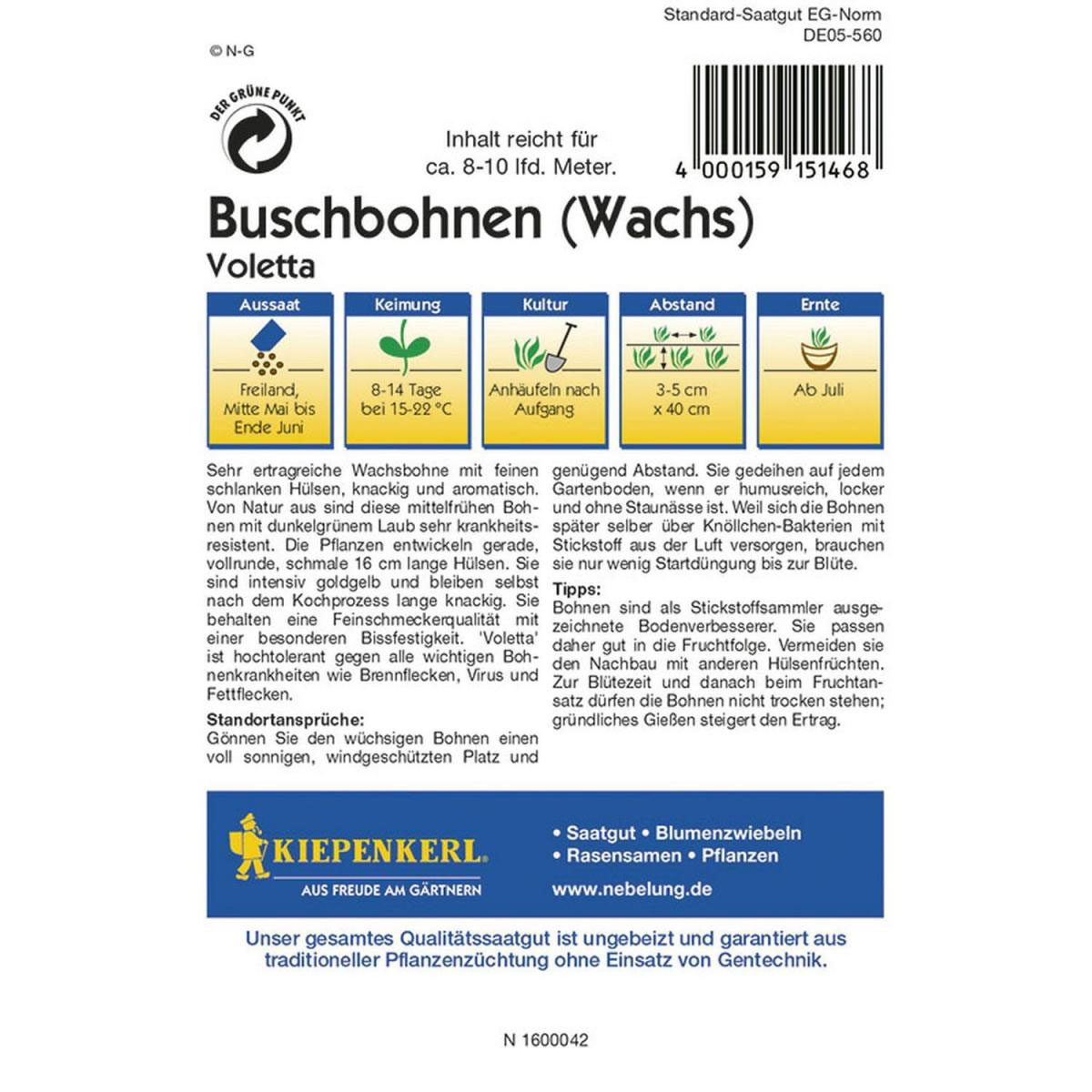 Kiepenkerl Buschbohnen Voletta Bild 2