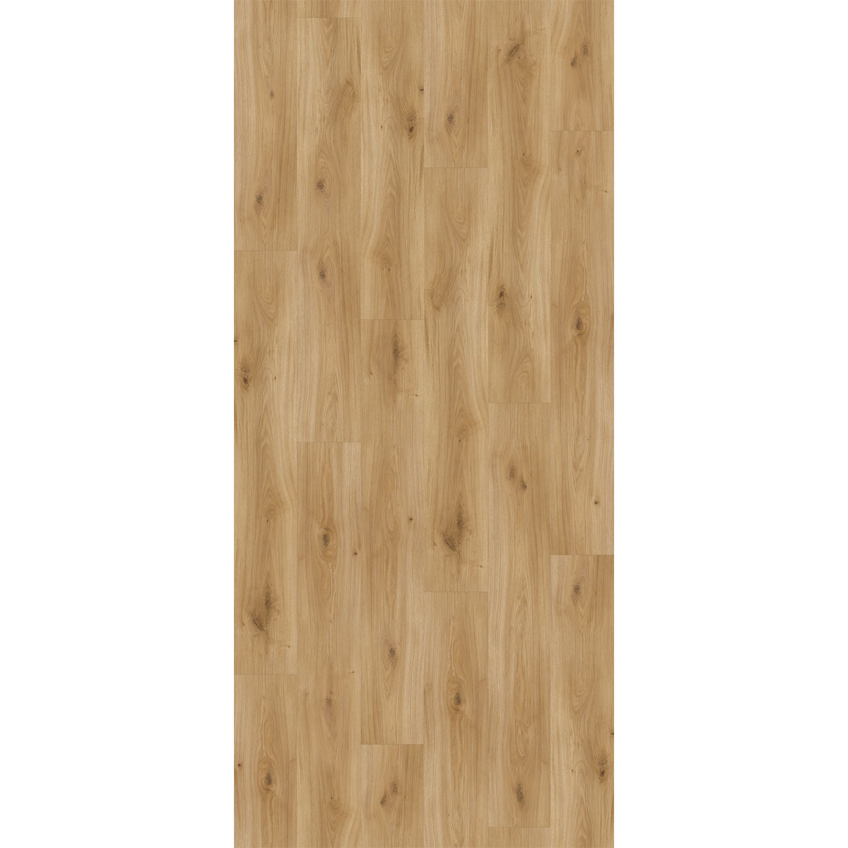 Parador Laminatboden „Basic 400“, Eiche Horizont Natur, Seidenmatte Struktur, 19,4x128,5 cm Bild 2