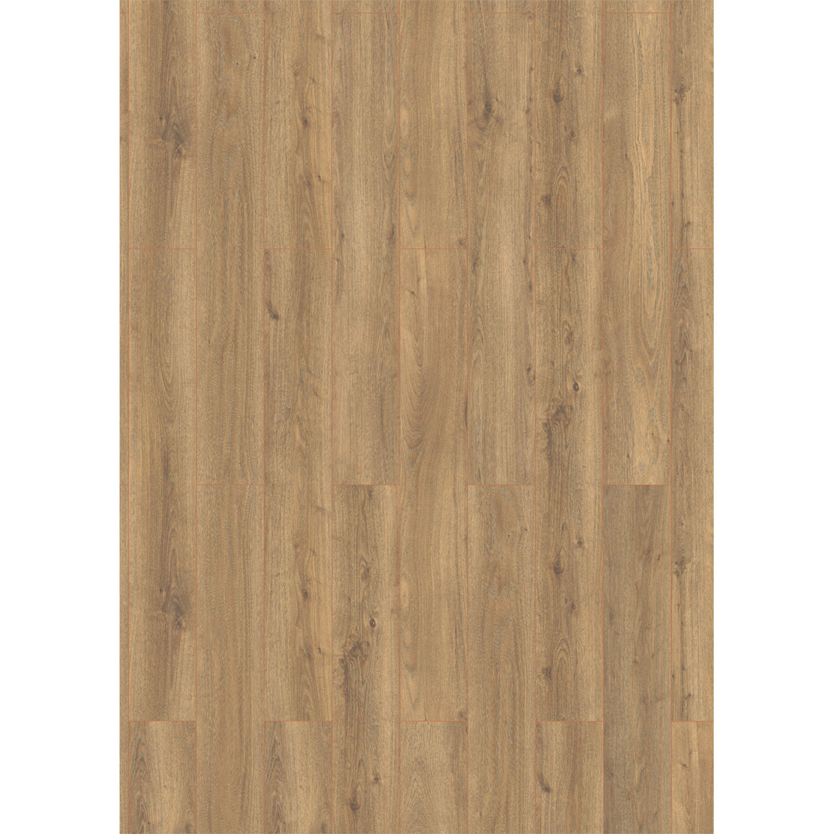 Classen Vinylboden Green Vinyl Eiche natur 1290 x 173 cm Bild 4