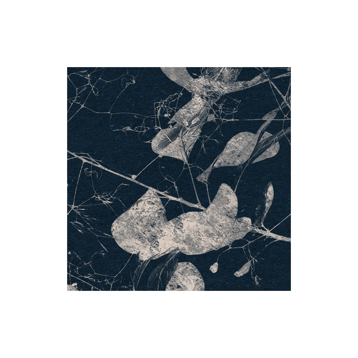 Komar  Selbstklebende Vlies Fototapete rund Branch Durchmesser 125 cm Bild 5