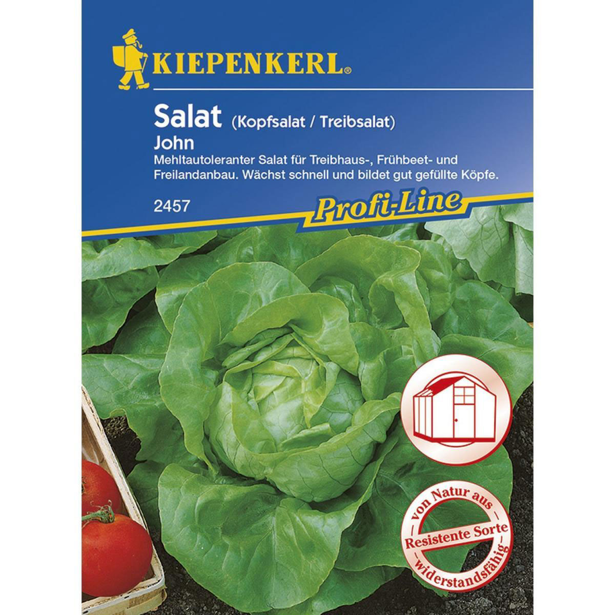 Kiepenkerl Treibhaus-Kopfsalat John Profi-Line Bild 1