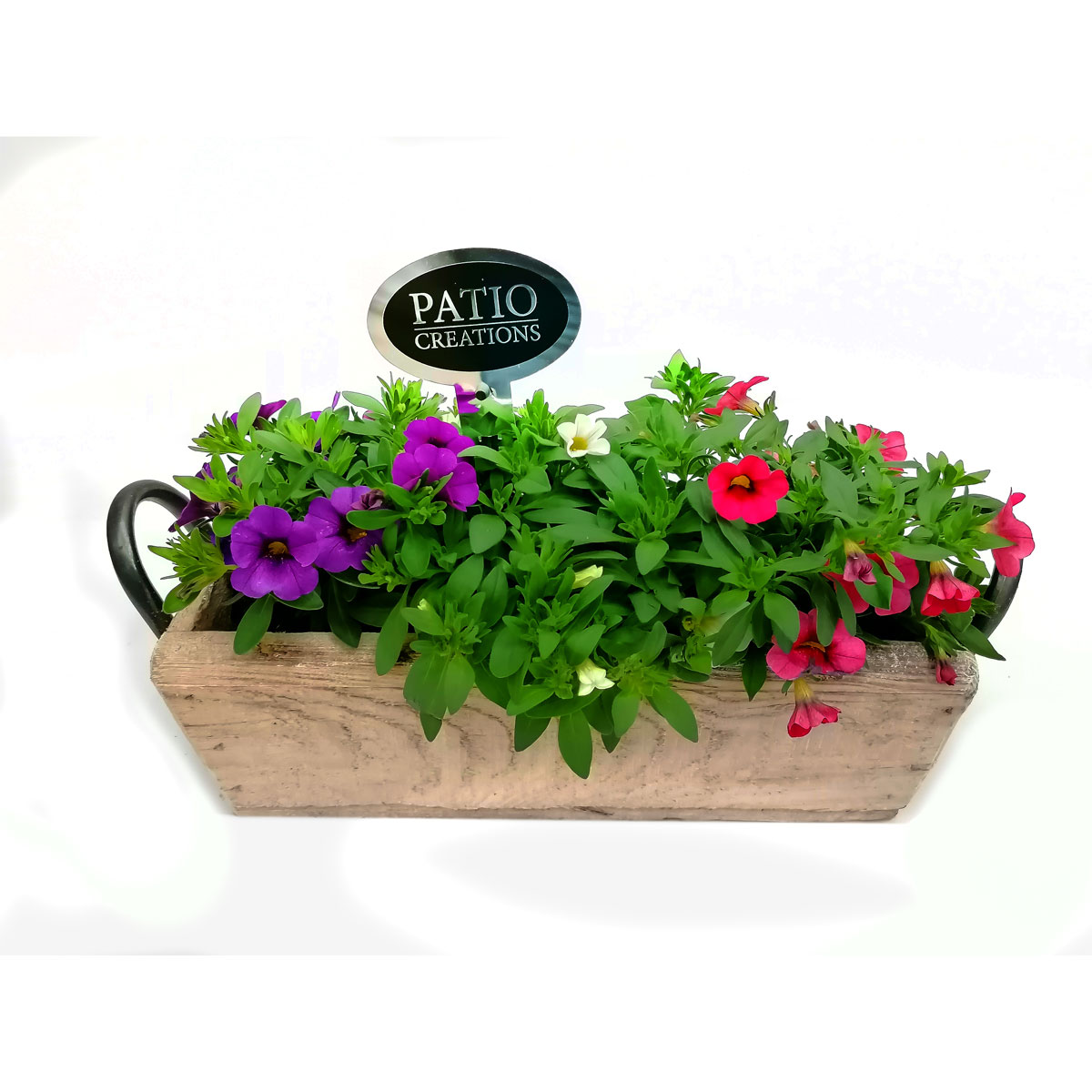 Plantiflor  Bepflanztes Gefäß Kasten 32 x 14 cm