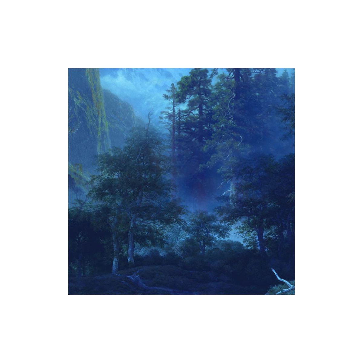 Komar  Vlies Fototapete Midnight 400x280 cm Bild 5