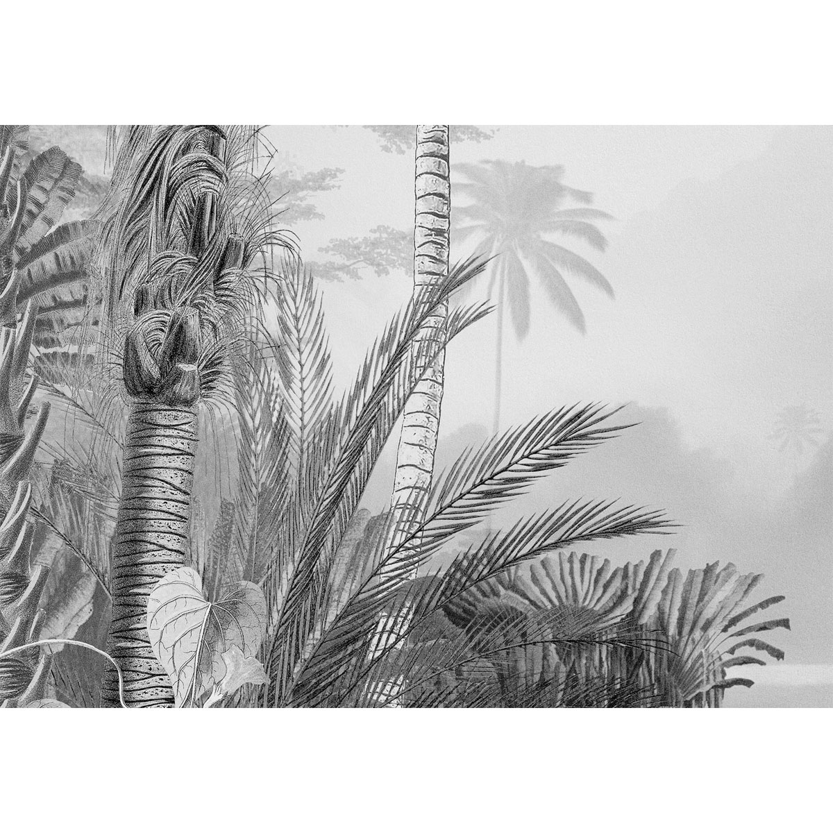 Komar  Vlies Fototapete Lac Tropical Black & White 200x270 cm Bild 4