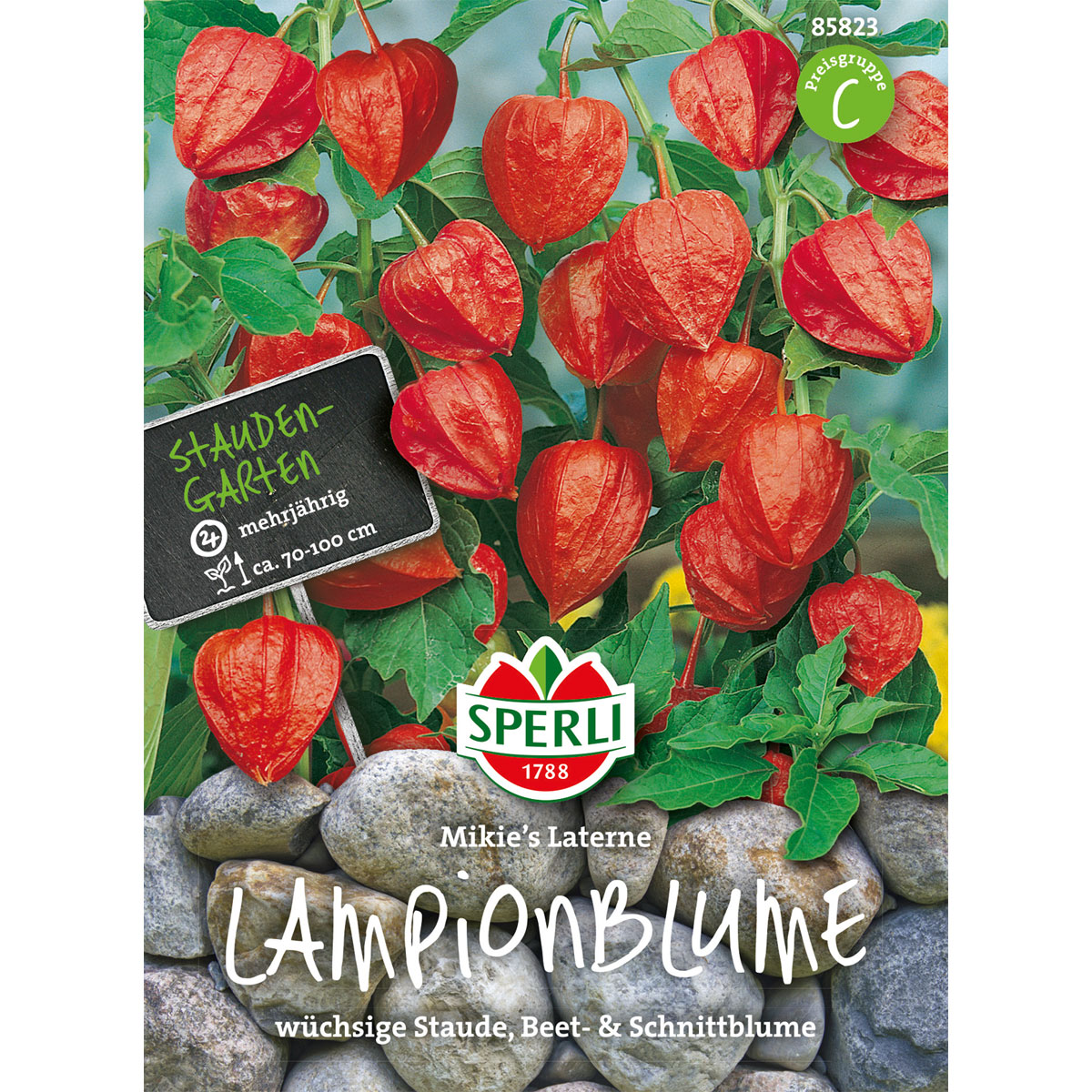 Sperli Lampionblumen Mikie´s Laterne