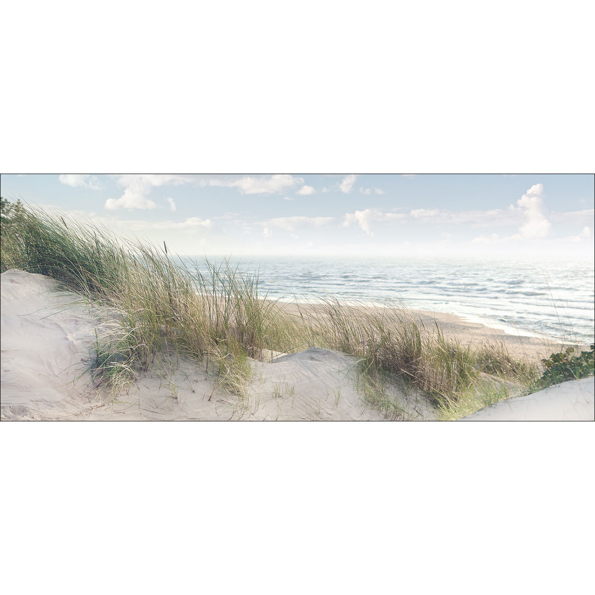 Decopanel Baltic Sea Coast 50 x 120 cm