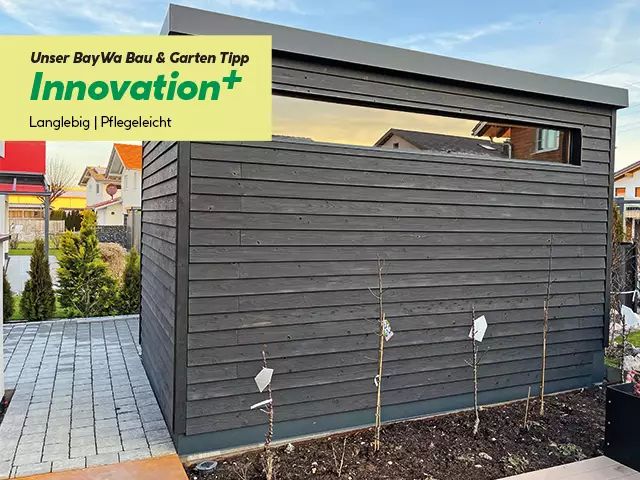 Schwarzes-Holz-BGM-1