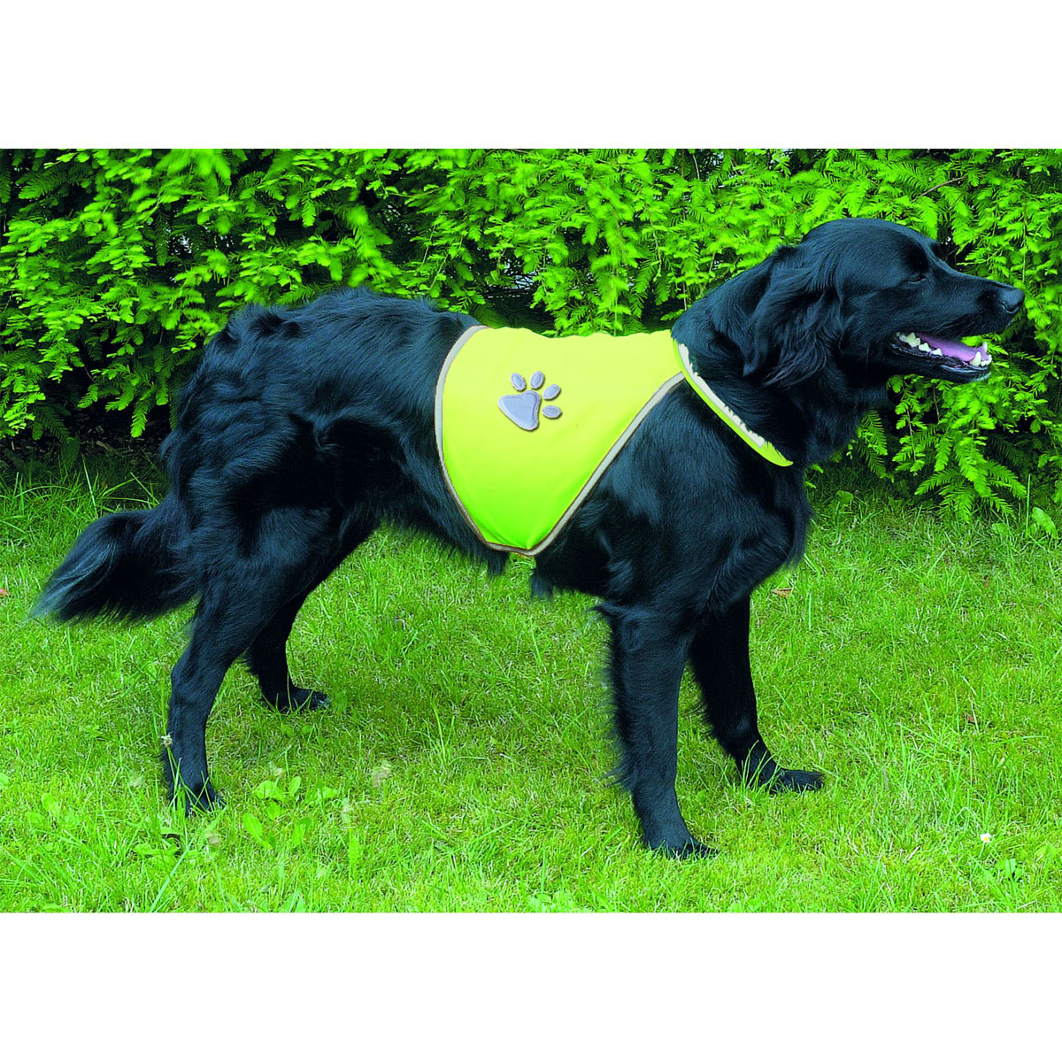 Trixie Dog Sicherheitsweste für Hunde XS