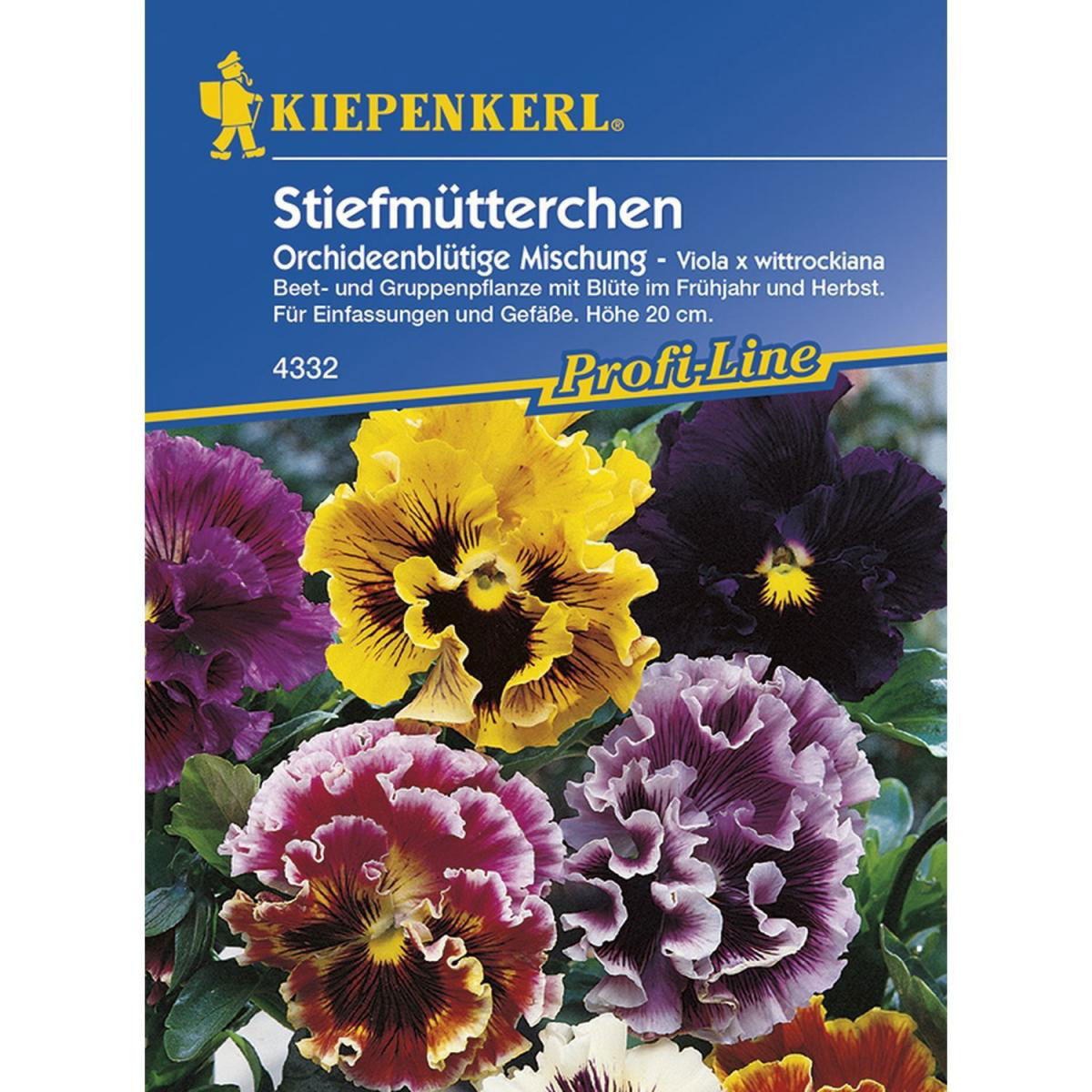 Kiepenkerl Stiefmütterchen Orchideenblütige Misch Profi-Line Bild 1