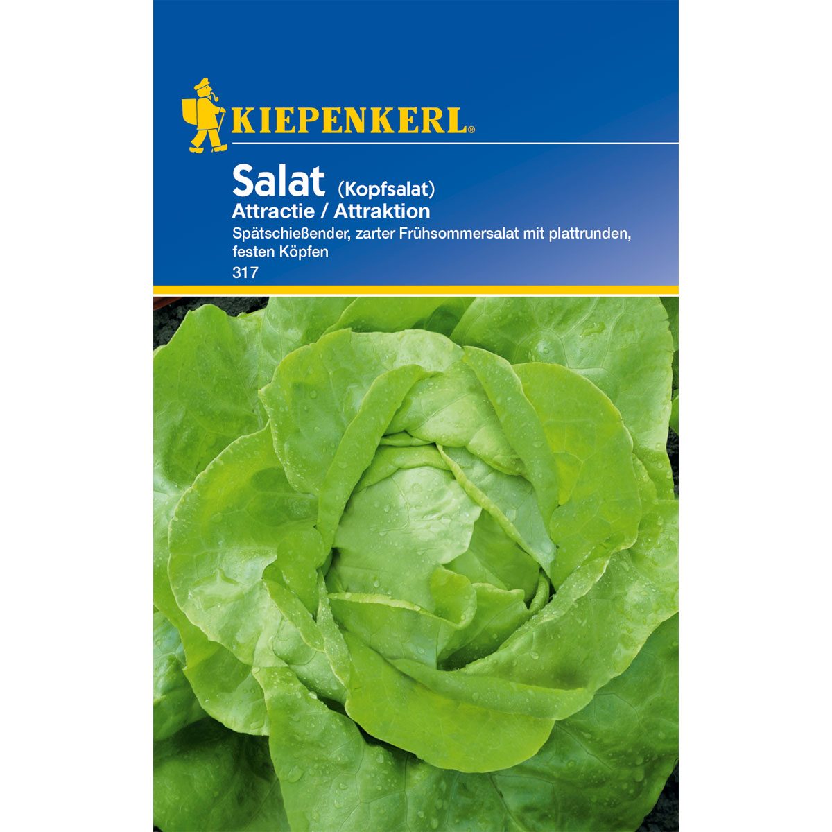 Kiepenkerl Kopfsalat Attractie