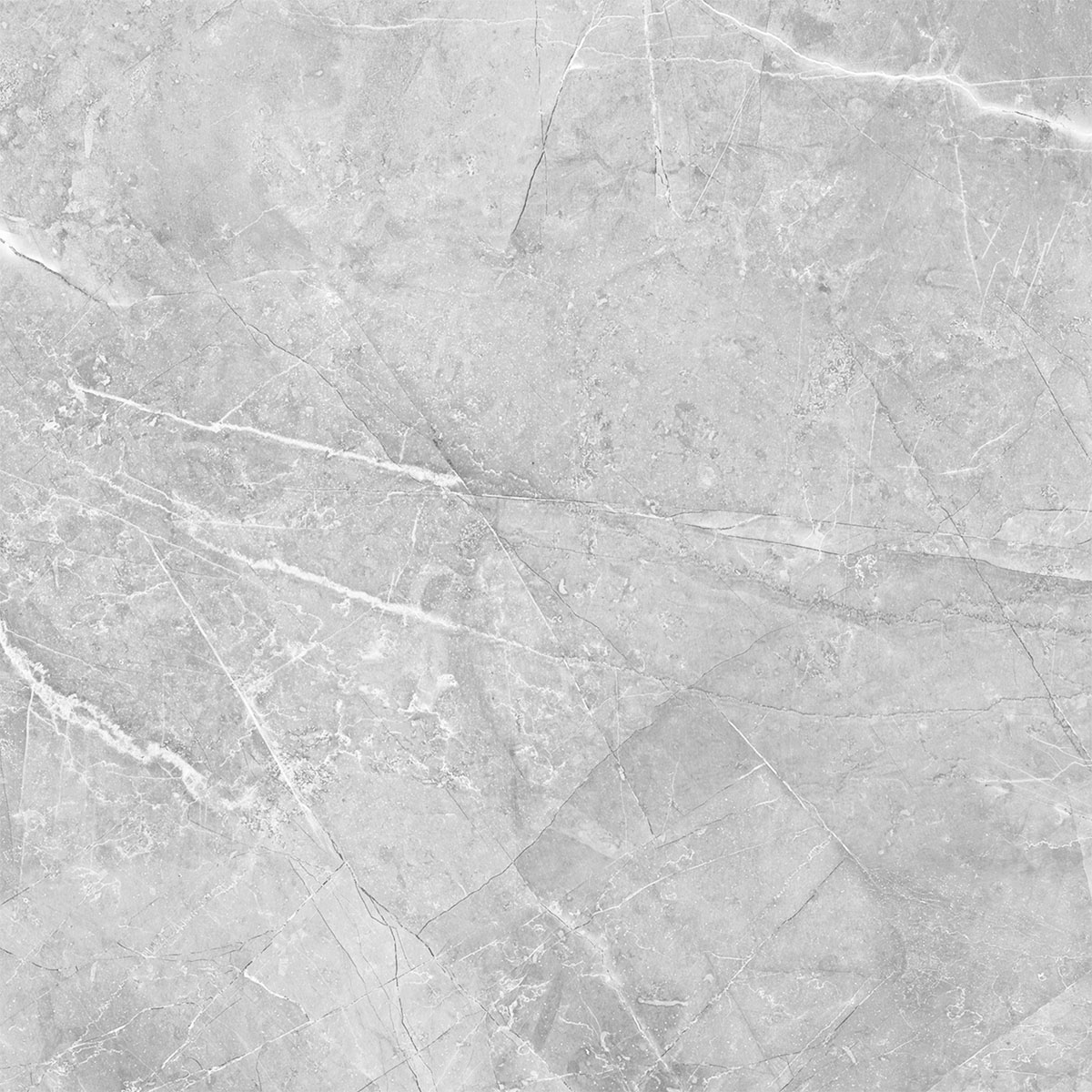 Bodenfliese Armani 60 x 60 cm poliert grau Bild 1