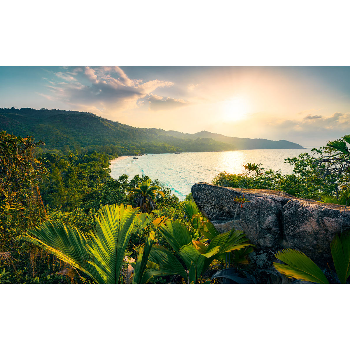 Komar  Vlies Fototapete Golden Air 450x280 cm Bild 2