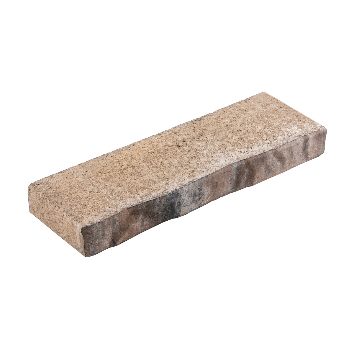 Diephaus  Mauerstein Alive Muschelkalk 60 x 20 x 7 cm Bild 1