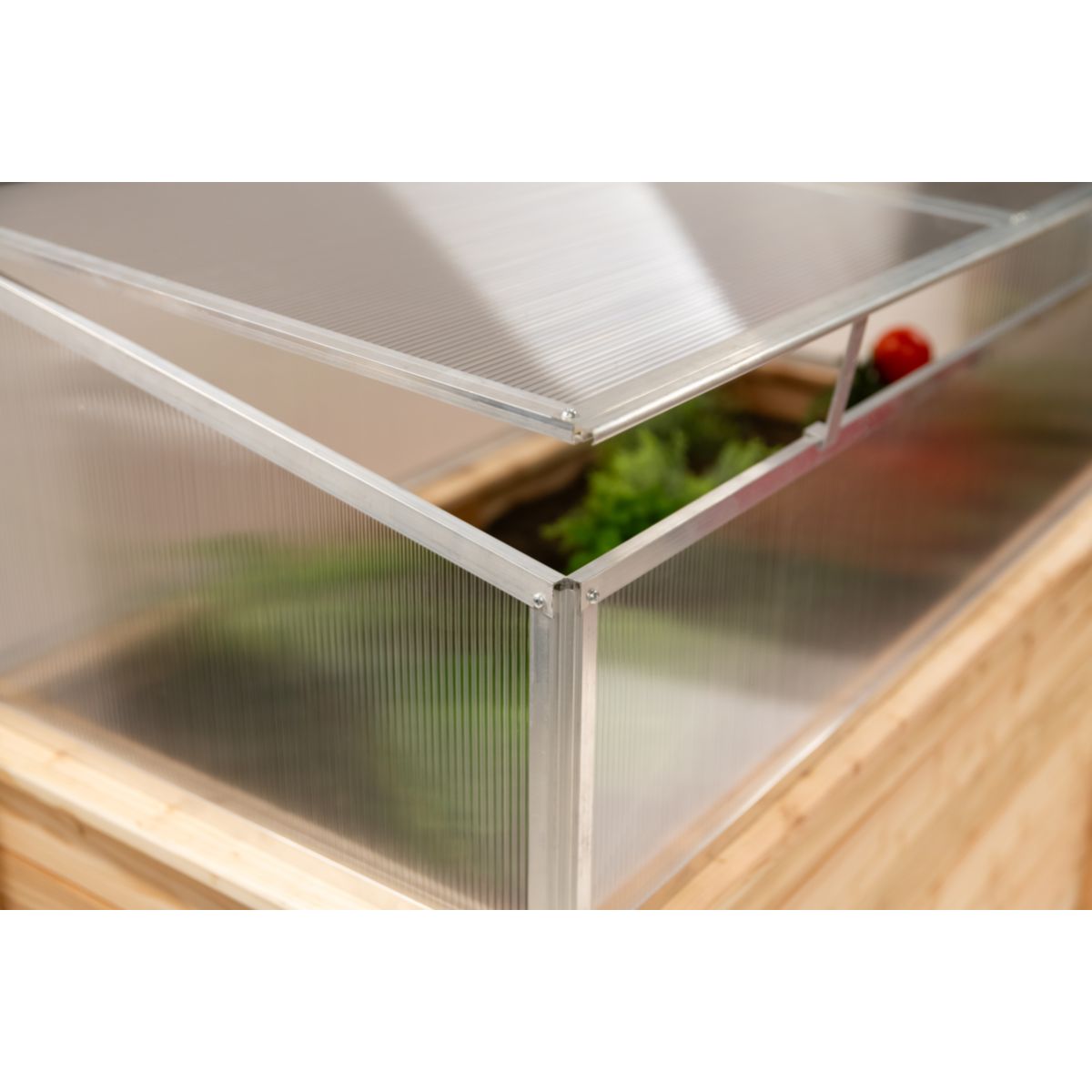 Westmann Frühbeetaufsatz Genus 100 62x95x41cm Bild 6