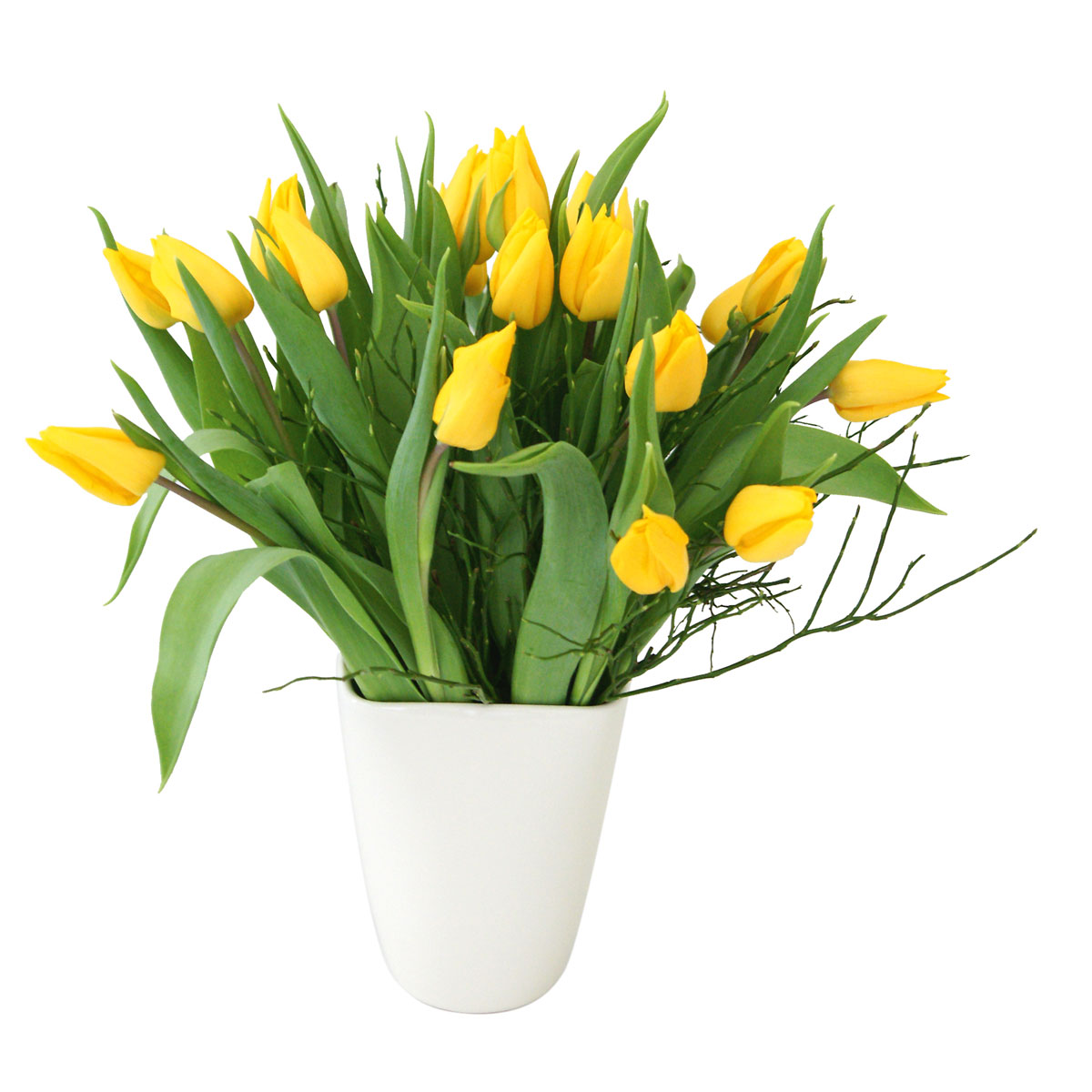 Plantiflor  Blumenzwiebeln Topf Durchmesser 10,5 cm Bild 3