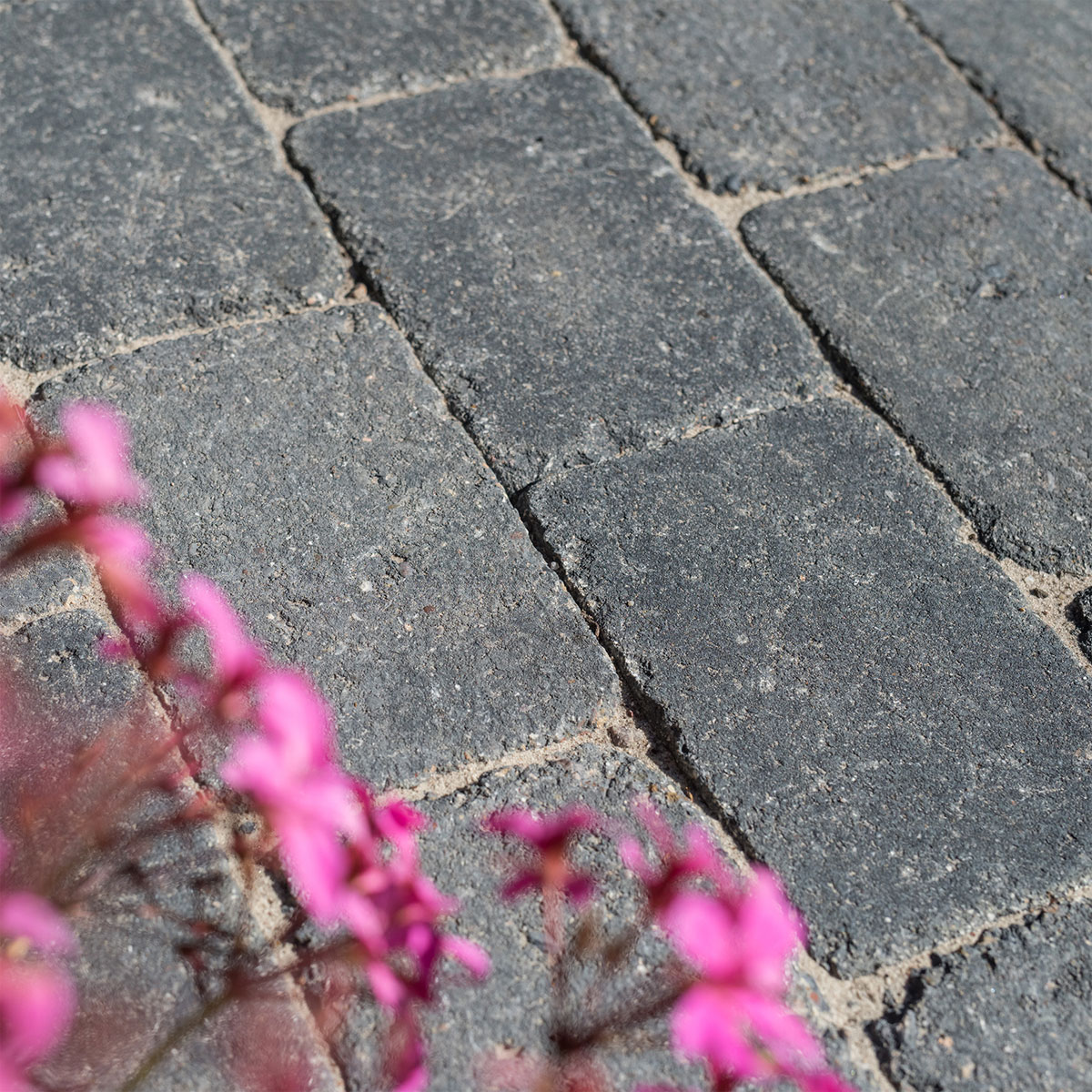 Diephaus  Pflaster Antik anthrazit 1,058 m2 pro Lage Bild 4