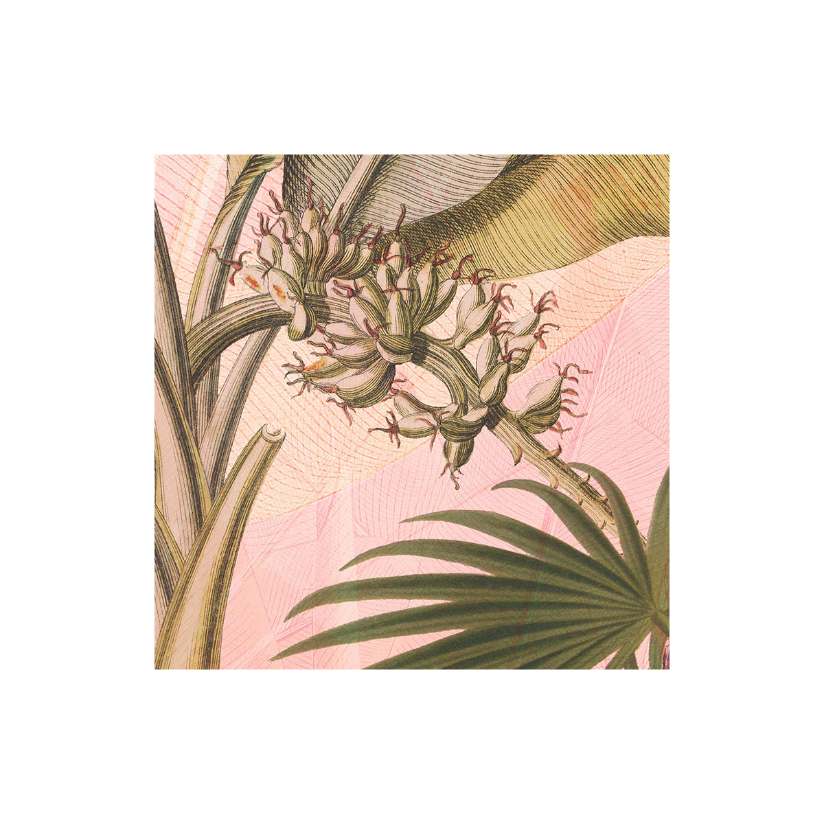 Komar  Selbstklebende Vlies Fototapete rund Botany Durchmesser 125 cm Bild 7