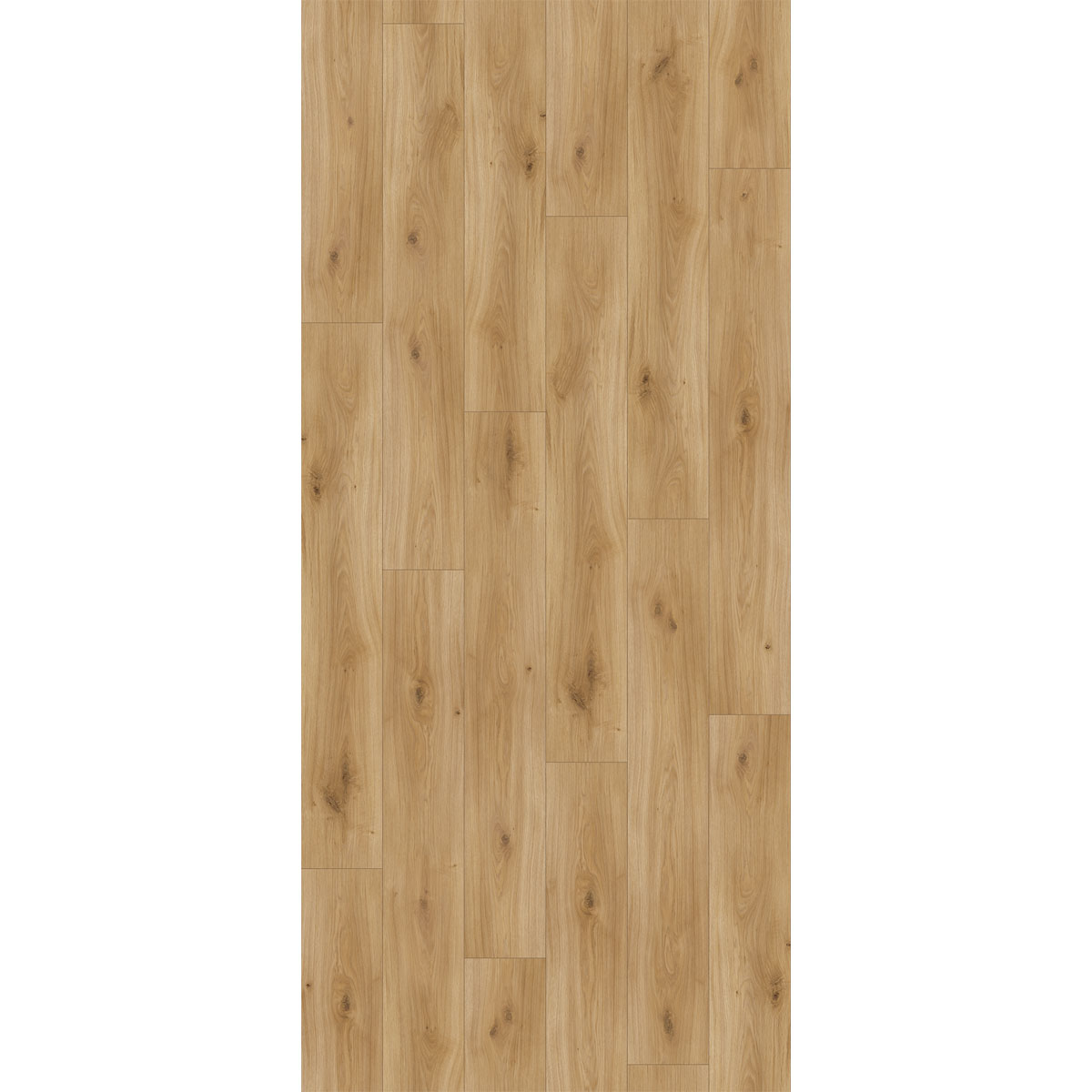 Parador Laminat Basic 200 Eiche Horizont Natur Bild 2