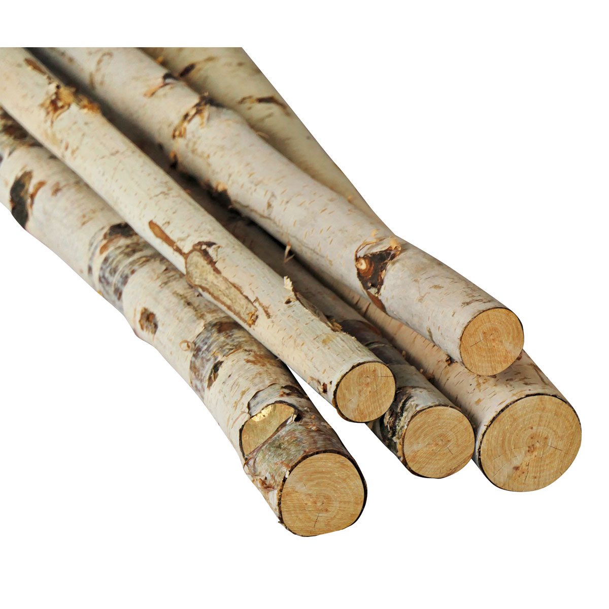 Birkenstamm 90 cm Durchmesser 2-4 cm Bild 4