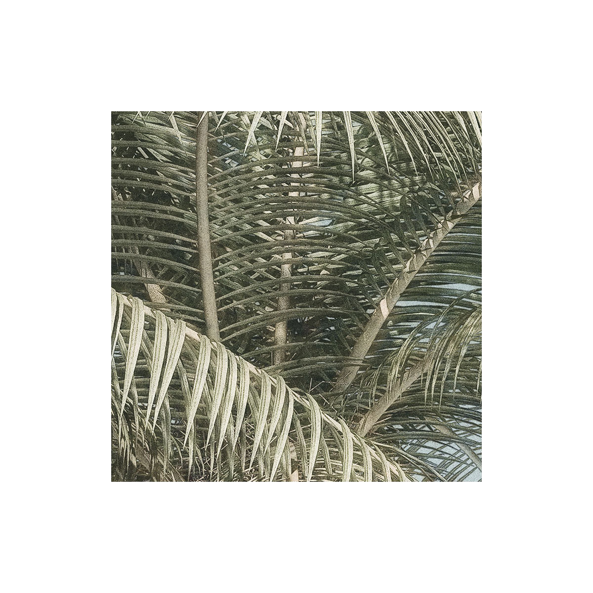 Komar  Selbstklebende Vlies Fototapete rund Hush Durchmesser 125 cm Bild 6