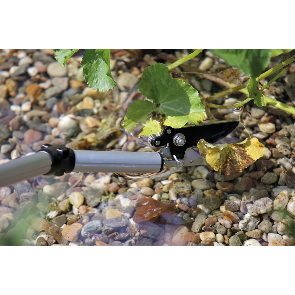 Oase Teichschere FlexiCut 2in1 166 cm Bild 5