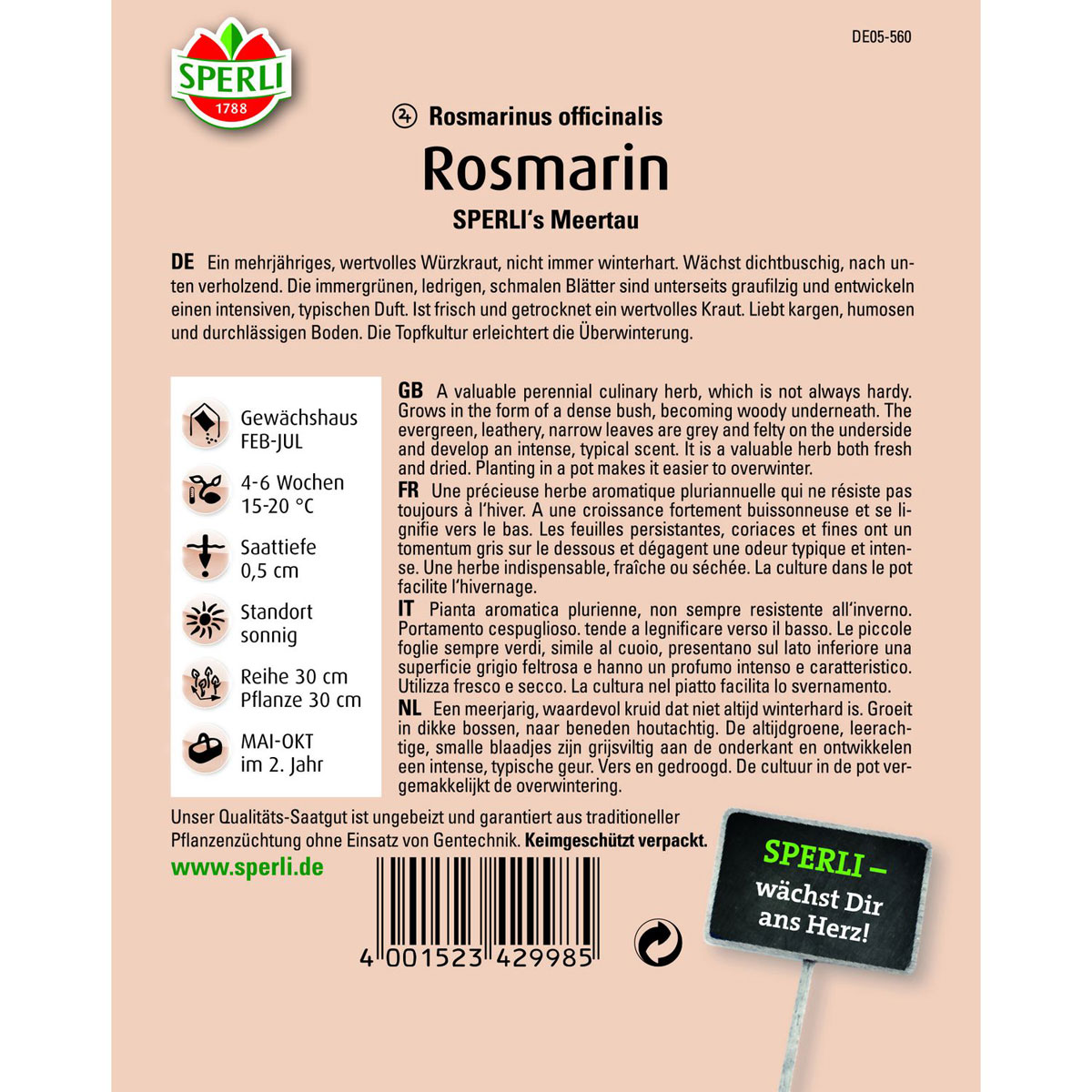 Rosmarin SPERLI´s Meertau Bild 2