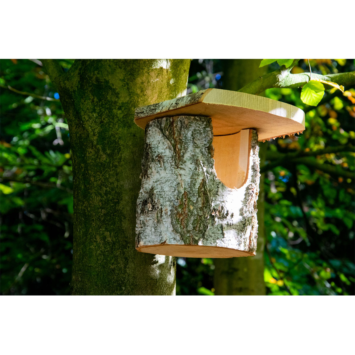 Nistkasten 14 x 22 x 24 cm Birkenaturbelassen Bild 4