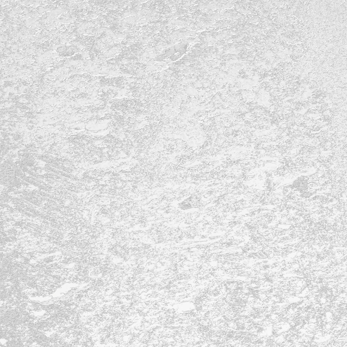 Komar  Vlies Fototapete Arte 400x280 cm Bild 7