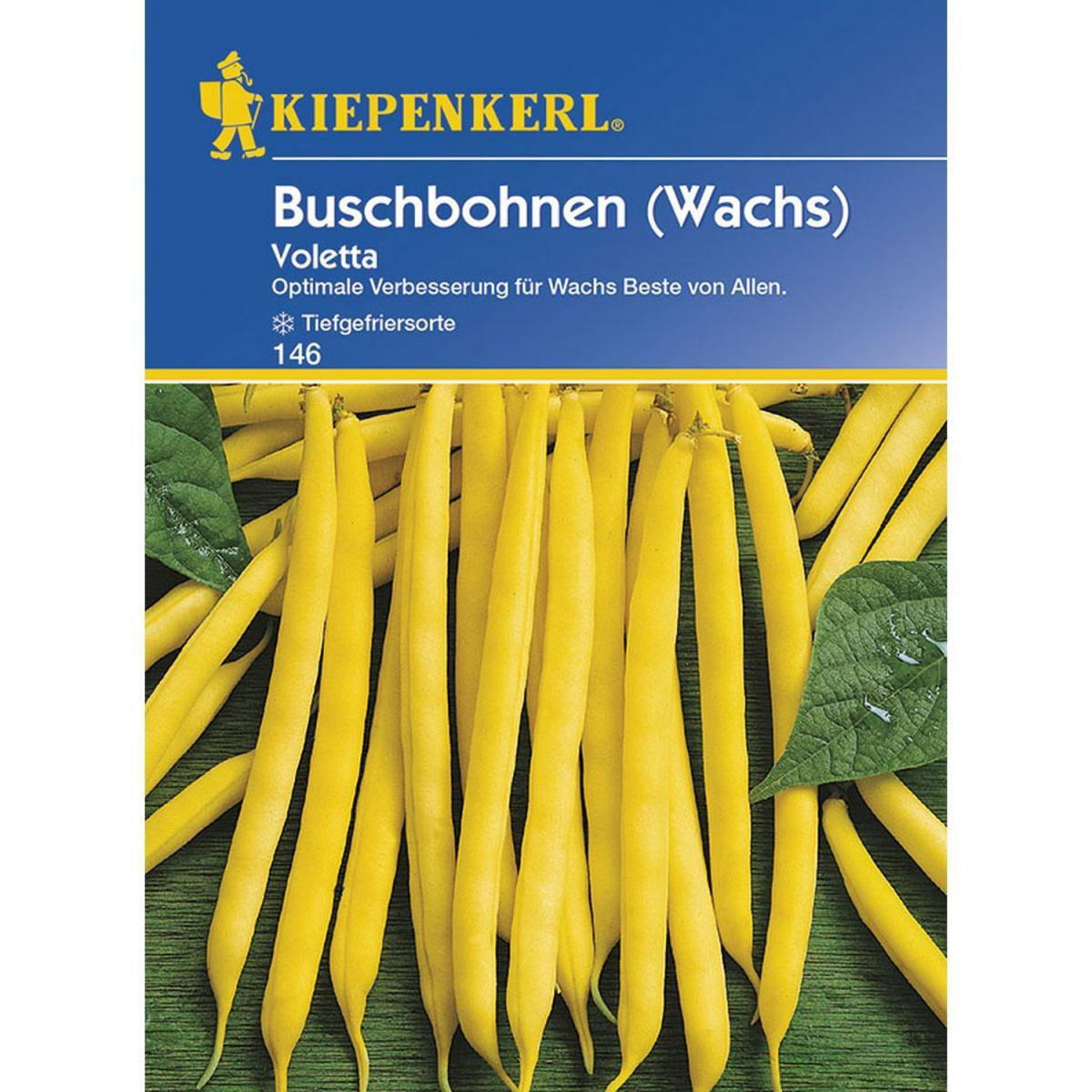 Kiepenkerl Buschbohnen Voletta Bild 1