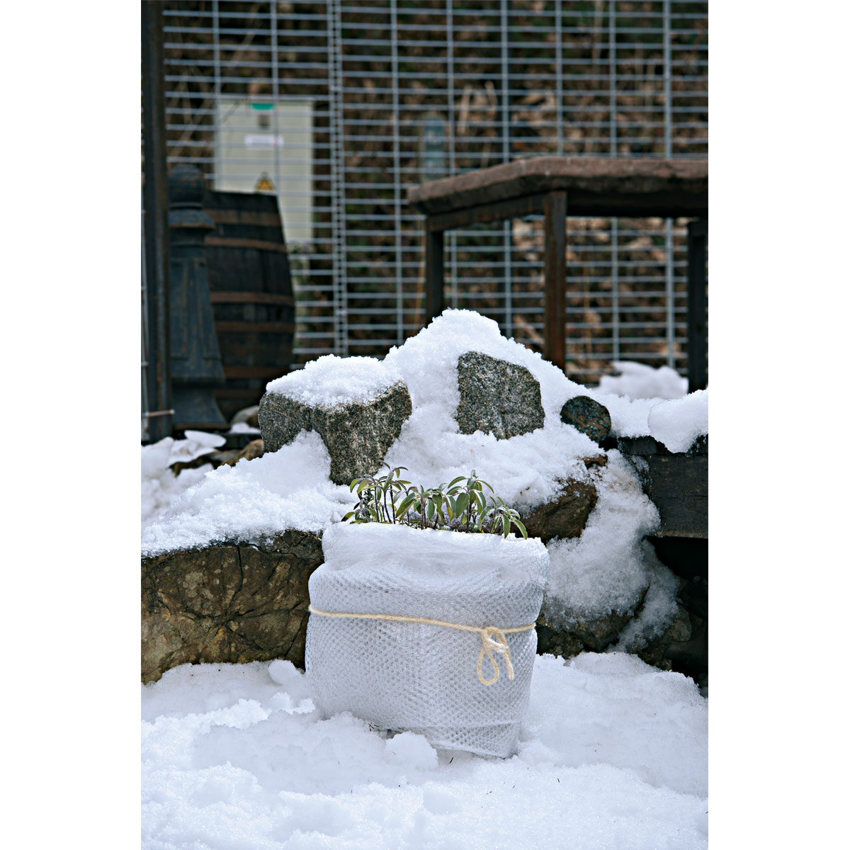 WInter-Kälteschutzfolie 5 x 1 m Bild 3