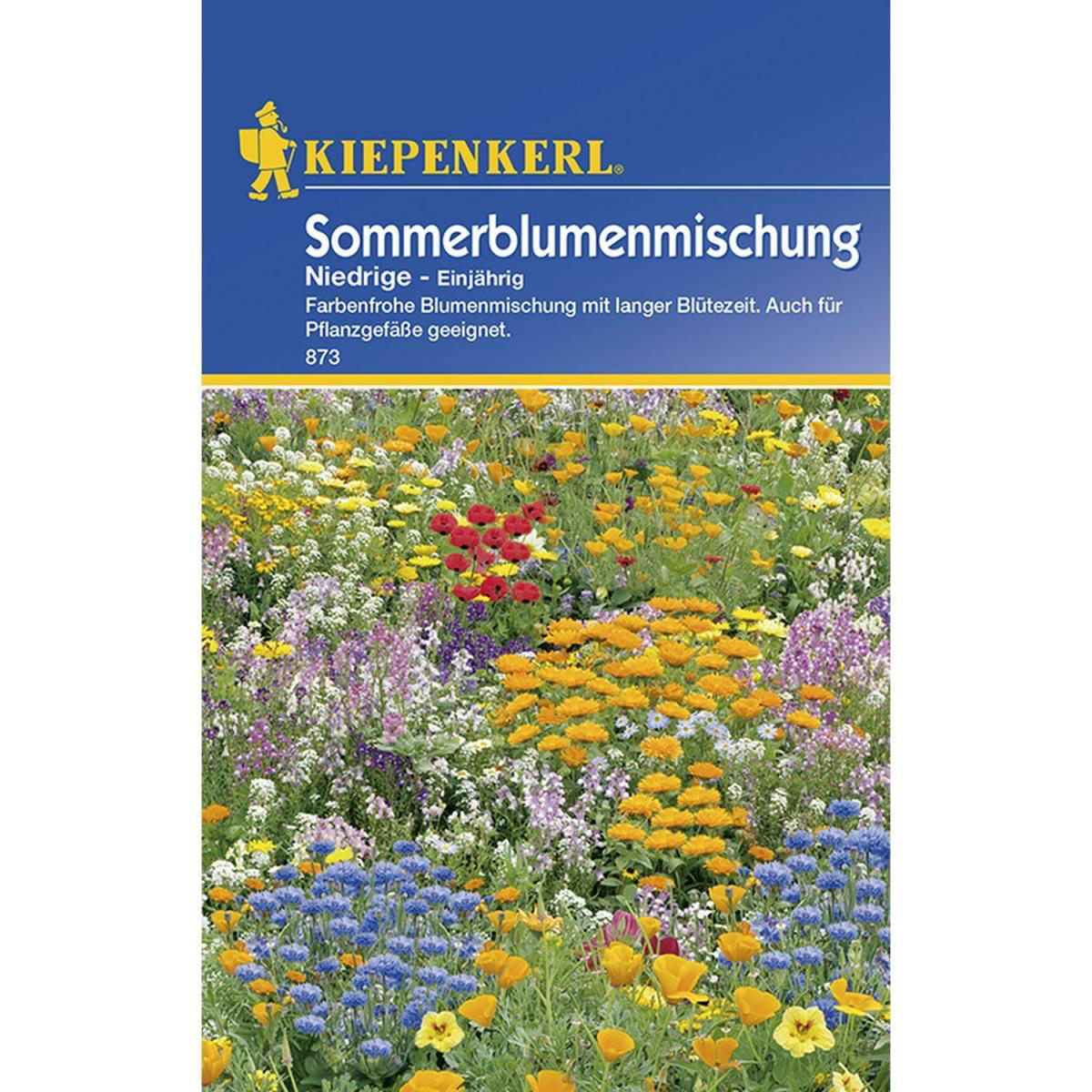 Kiepenkerl Niedrige Sommerblumenmischung Bild 1