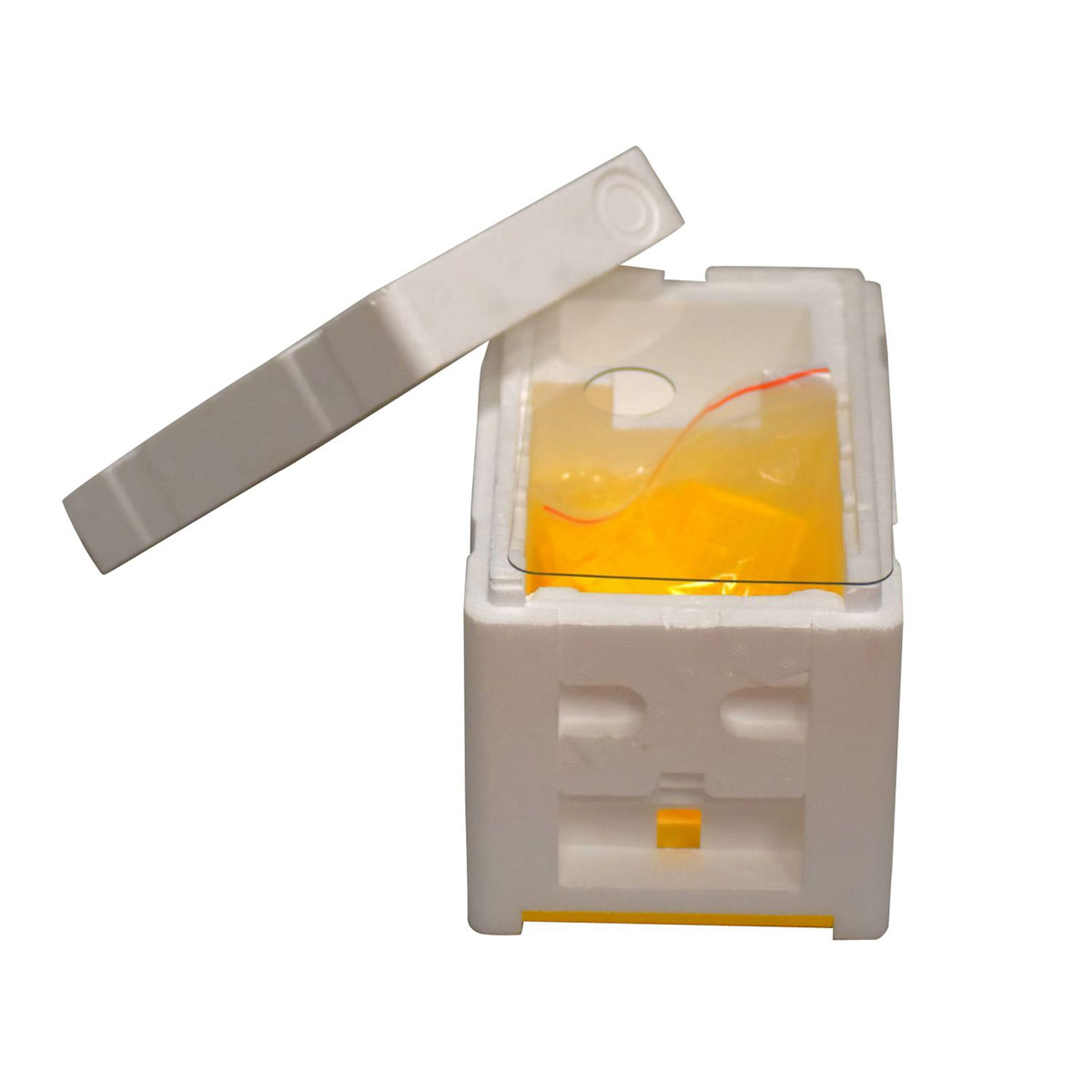 Bienenreich Begattungskasten mit Fütterer 7-teilig Bild 2