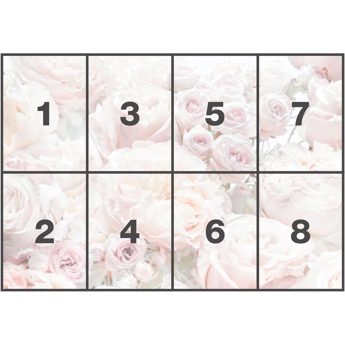 Komar  Papier Fototapete Spring Roses 368x254 cm Bild 3