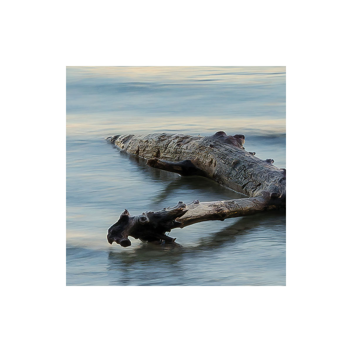 Komar  Vlies Fototapete Pastell 450x280 cm Bild 5