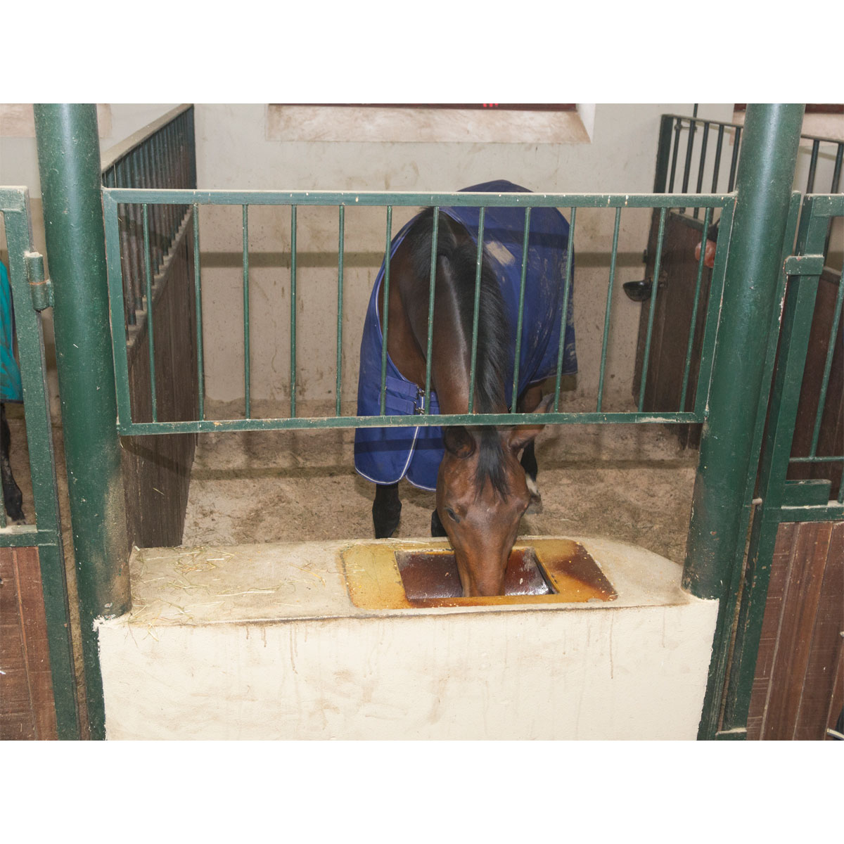 Stallüberwachungs-Kamera IPCam 2.0 schwarz Bild 9